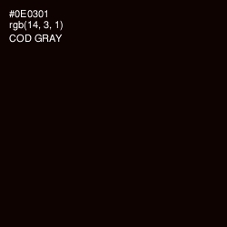 #0E0301 - Cod Gray Color Image